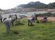El Ayuntamiento de Son Servera y el Ibanat plantan 300 rboles en la zona de Ca s'Hereu