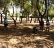 Son Servera inaugura un nuevo parque canino en Cala Millor