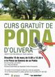 El Ayuntamiento de Son Servera organiza un curso de poda de olivo
